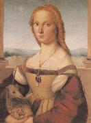 RAFFAELLO Sanzio, Portrait of younger woman